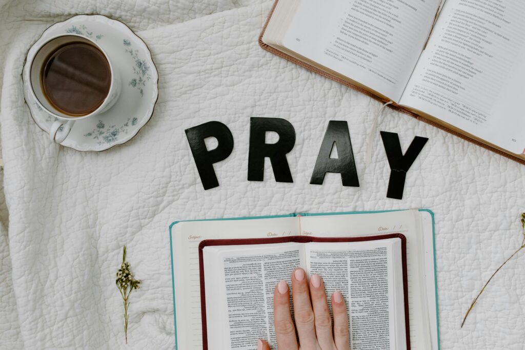 Genesis 1:24–26 – Discover Your Divine Identity & Purpose